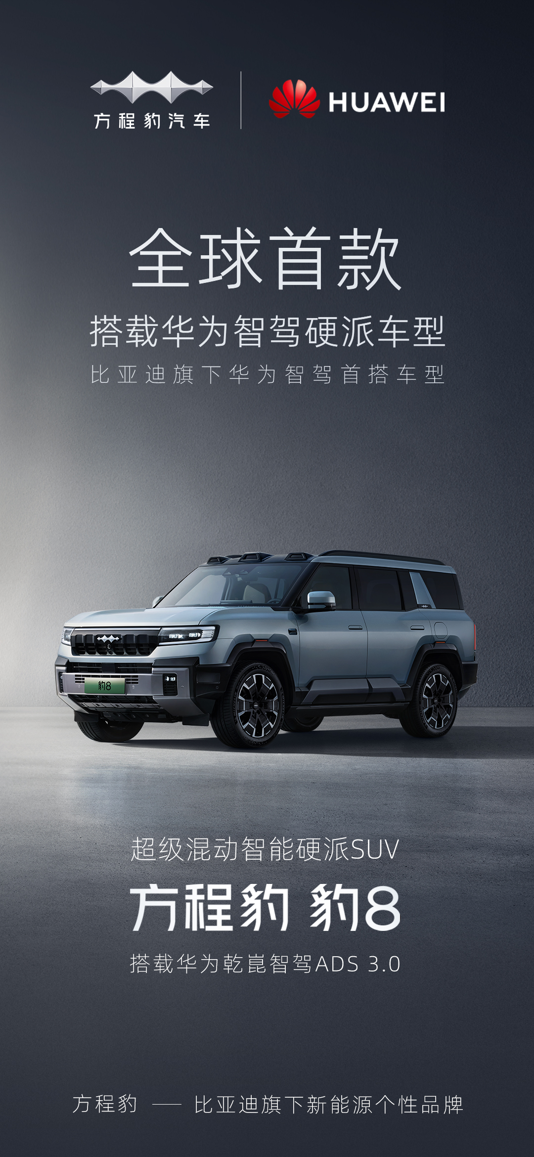 新闻资讯